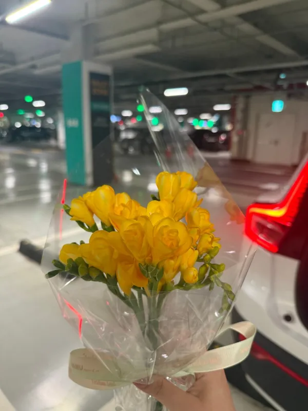 아베끄샵 사진 5