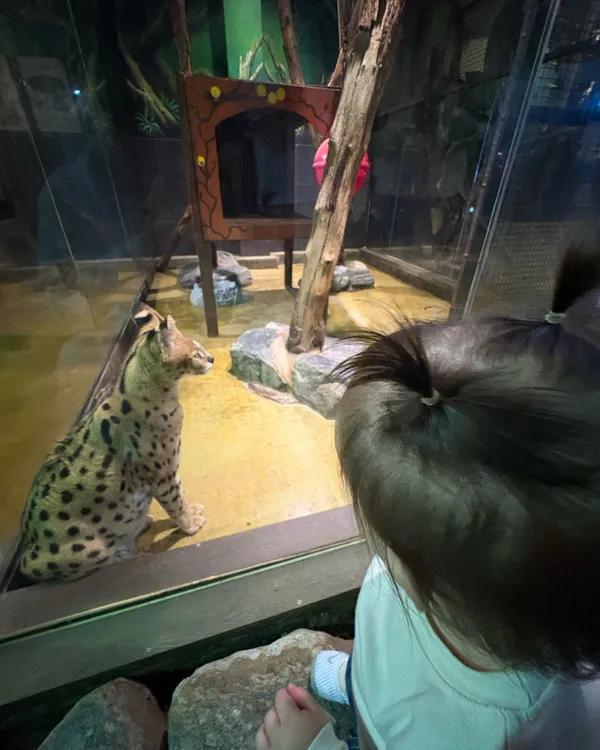 Jureongjureong Zoo Gyeongju, photo 5
