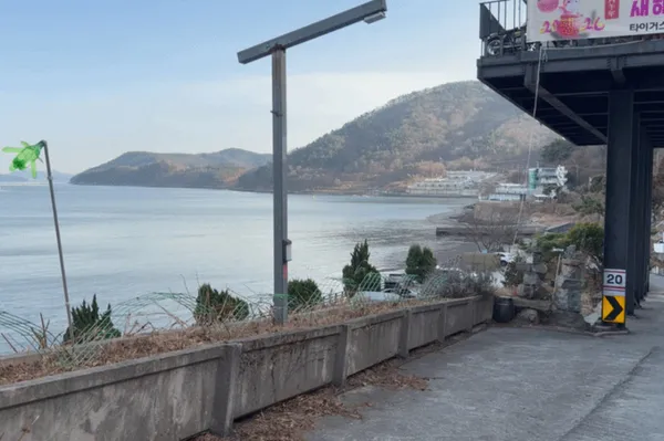 타이거스피드 안녕오토캠핑장 사진 4