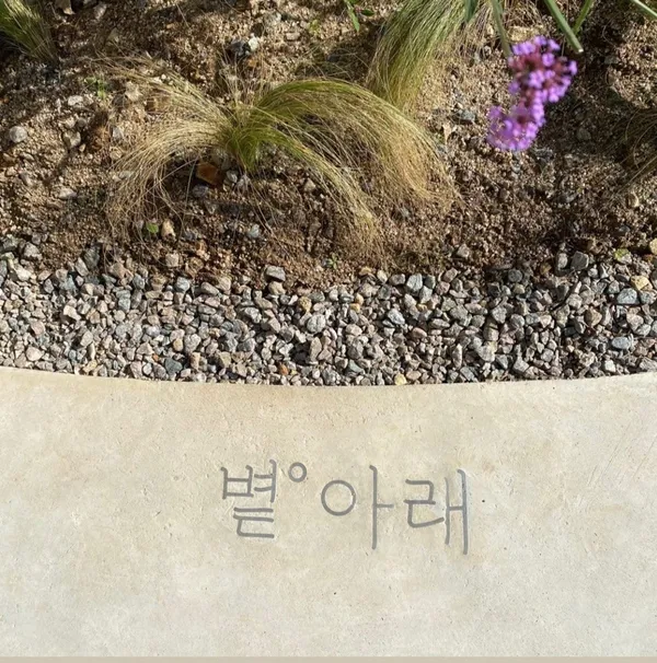 볕아래 사진 5