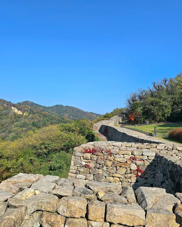 분산성