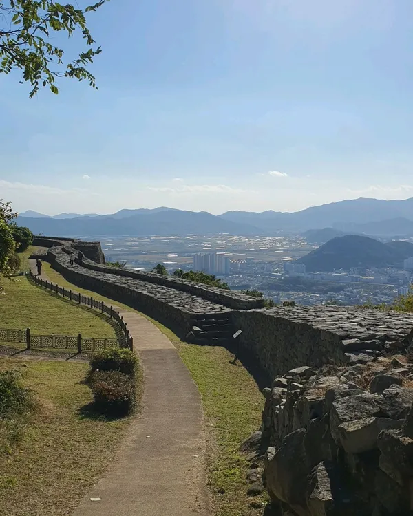 분산성 사진 2