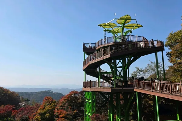 말티재꼬부랑길 사진 3