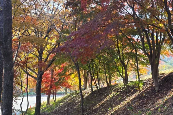 말티재꼬부랑길 사진 5