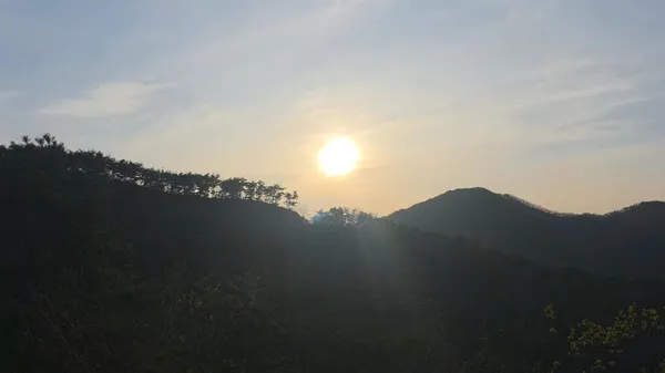 Maltijae Kkoburang-gil, photo 5