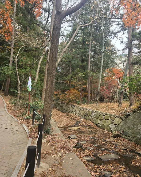 중앙공원 사진 4