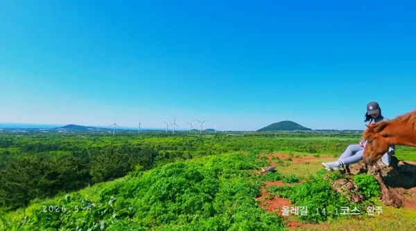 추자도 사진 2