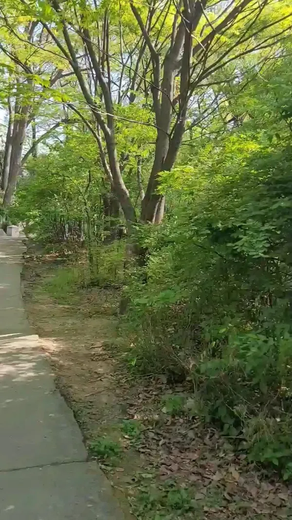 남산공원호현당 사진 5