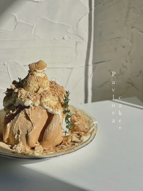 토라비 사진 5