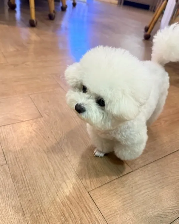 트리플디 사진 4