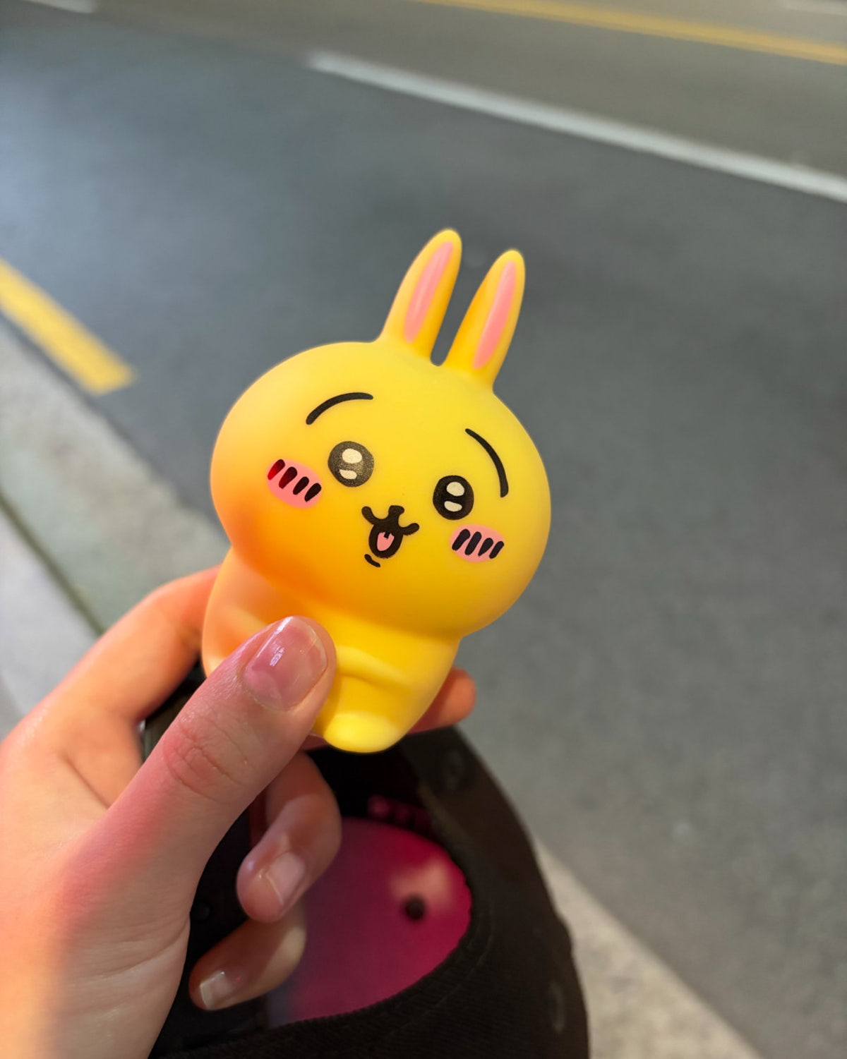 딩굴딩굴 알타미라 사진 5