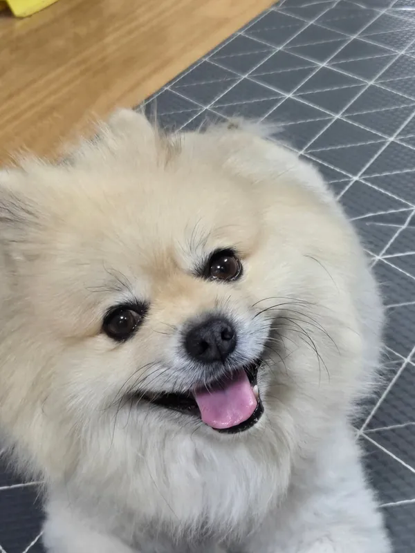 영랑호 사진 2