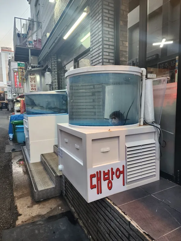 제일횟집 사진 2