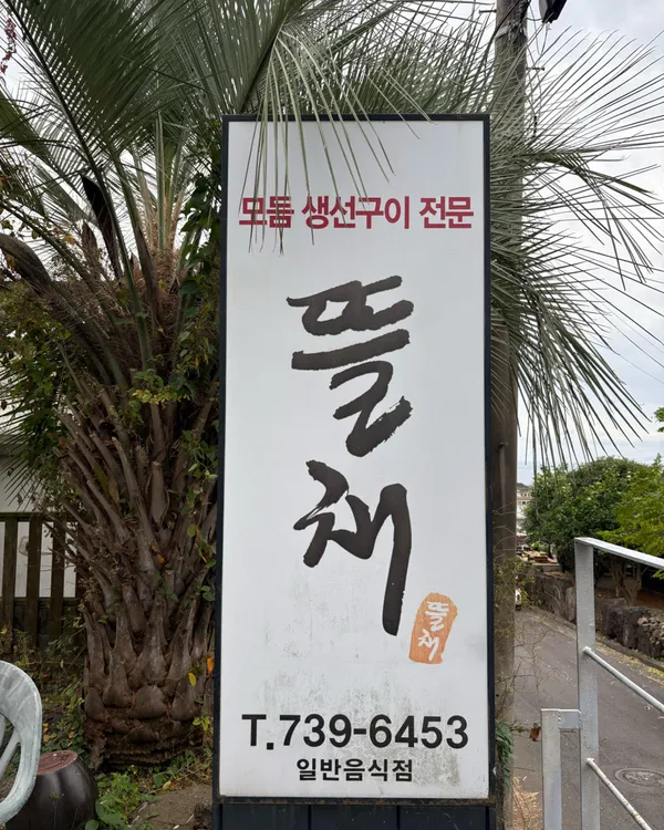 뜰채