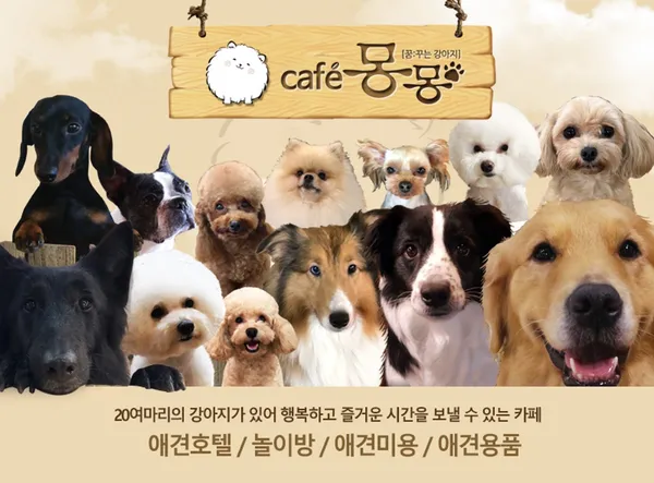 카페몽몽 사진 2