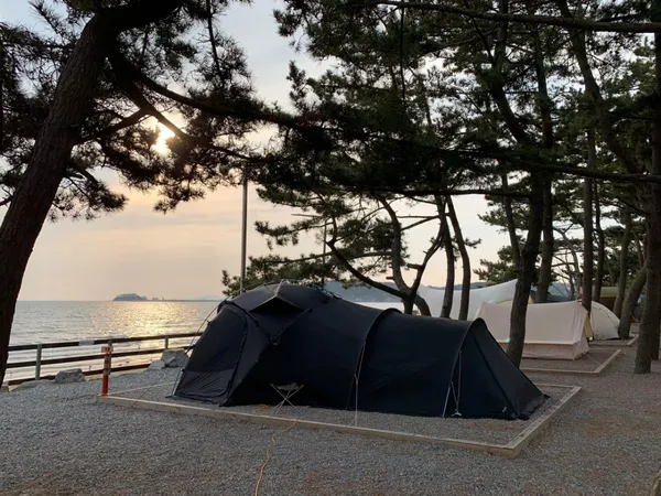 몽산포오토캠핑장 사진 2