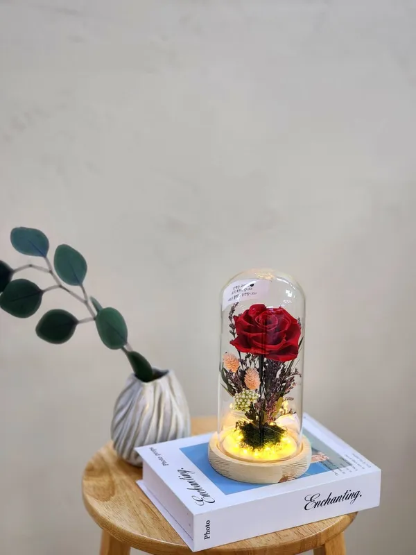 꽃방정 사진 4