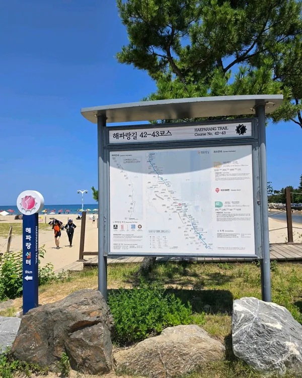 하조대해수욕장 사진 4