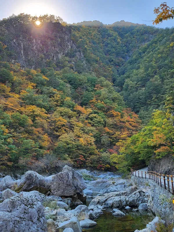 덕풍계곡 별빛야영장 사진 2