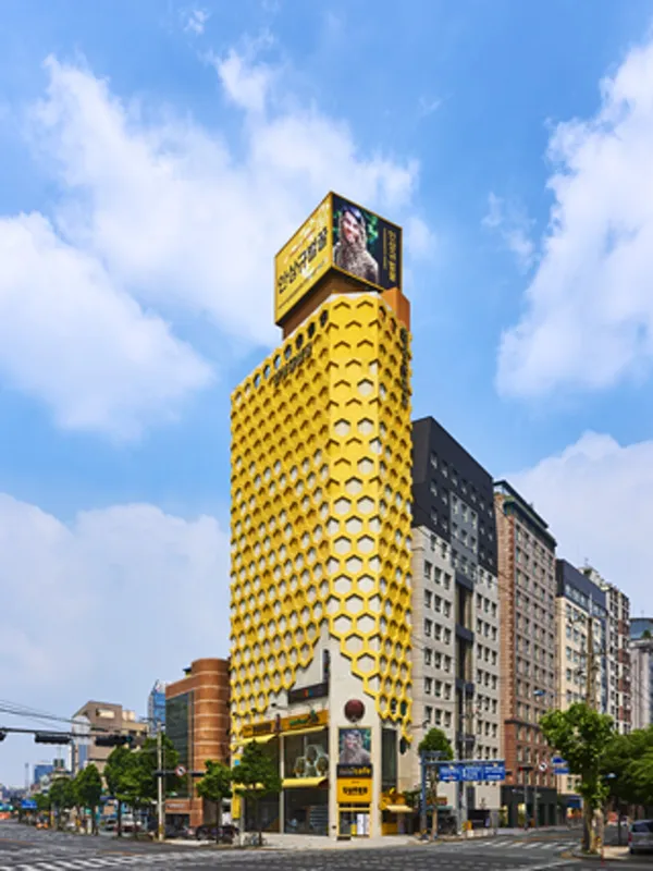 안상규벌꿀 여의도점 사진 2