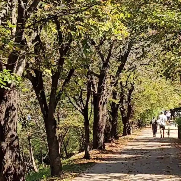 인천대공원 사진 5