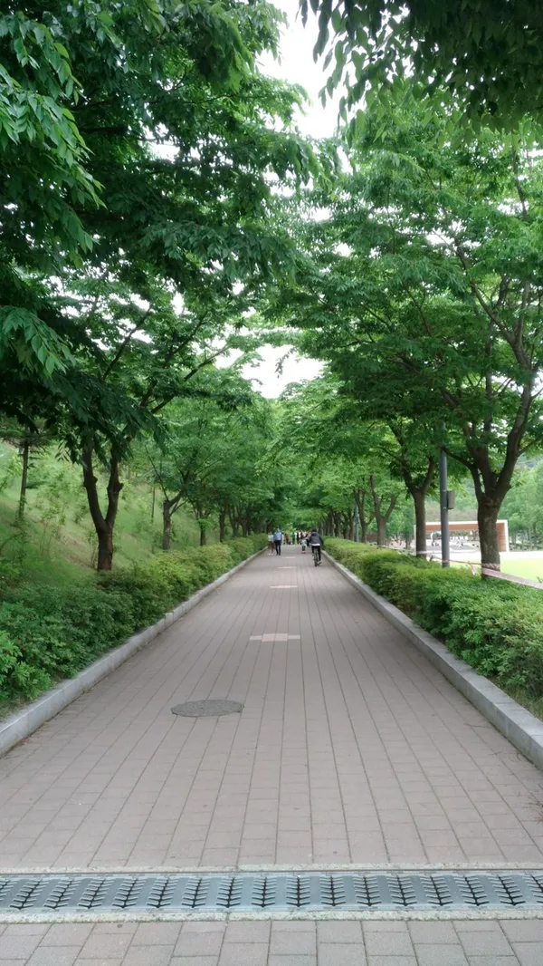 남양성모성지 사진 2