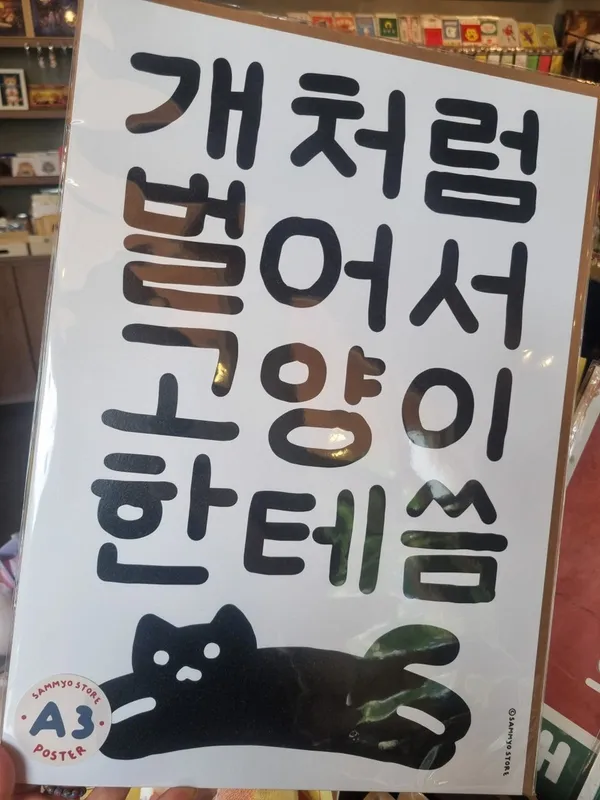 한강야옹이 사진 3