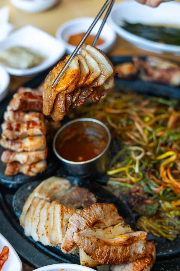 영남돼지 사진 3