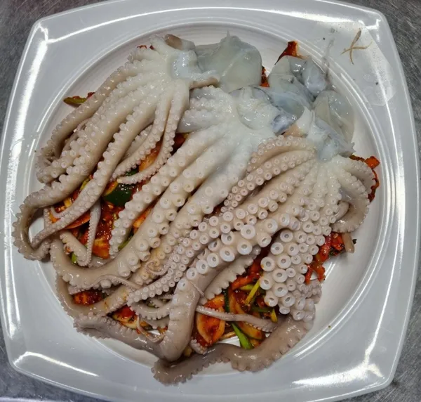 양순자 낙지마당 사진 4