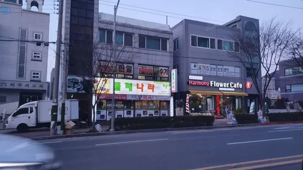 들깨나라국수 사진 3