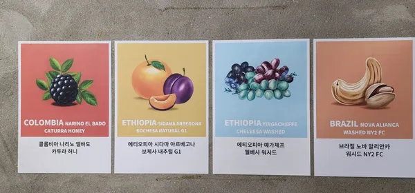 고양이똥 사진 2