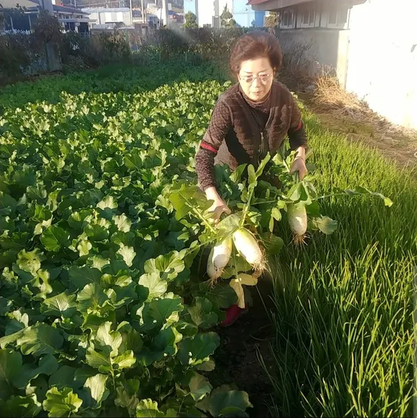 촌집 유구 마곡사 수국축제점 사진 3