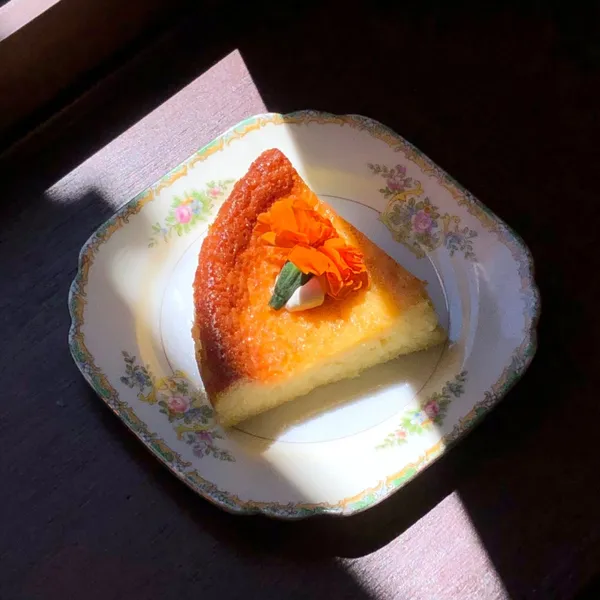 짙은산 사진 2