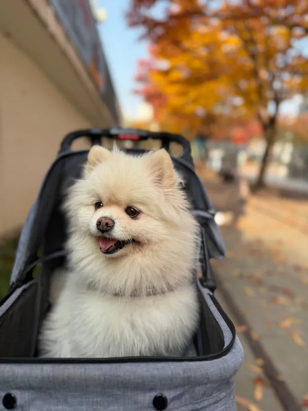 세친구곱창 공릉점 사진 5