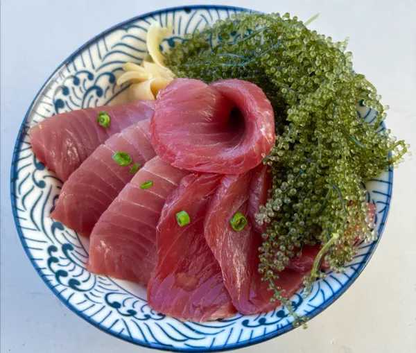 오야지노 마구로 사진 3