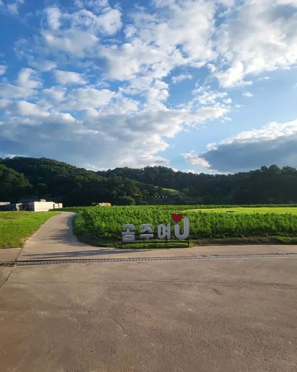 금강신관공원 사진 4