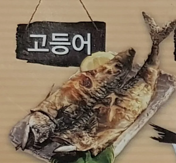 구이구이 사진 5