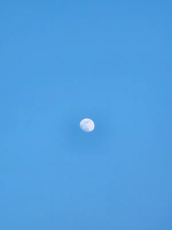 호수공원 사진 3