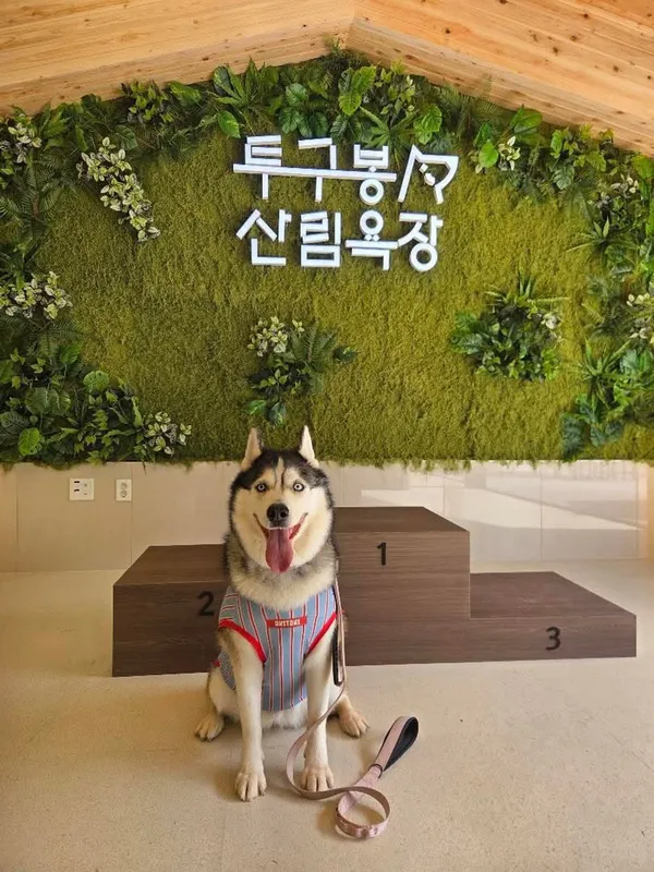 투구봉산림욕장 사진 4