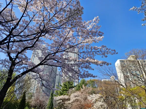 부천중앙공원 사진 3