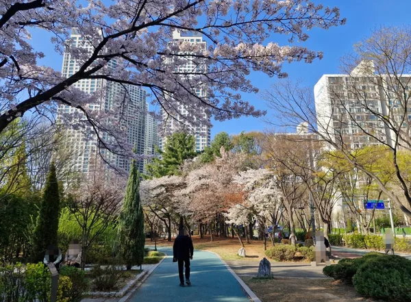 부천중앙공원 사진 4