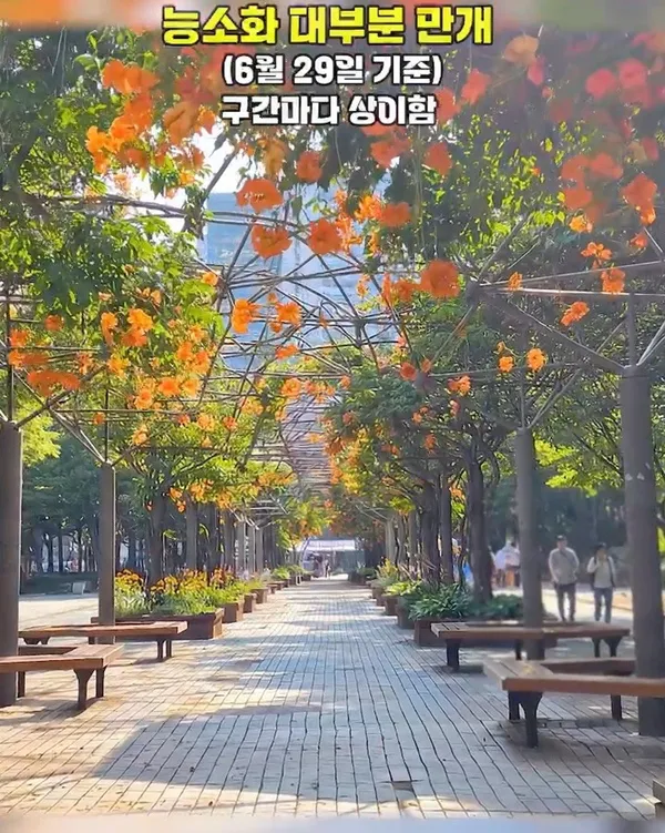 부천중앙공원 사진 5