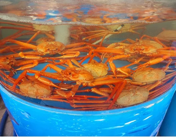 동해수산회센타 사진 3