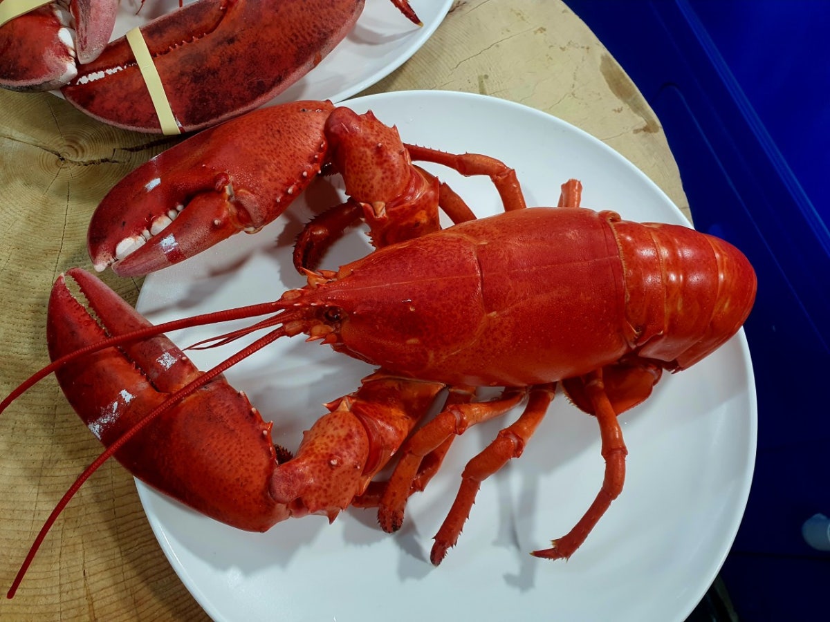 동해수산회센타 사진 5