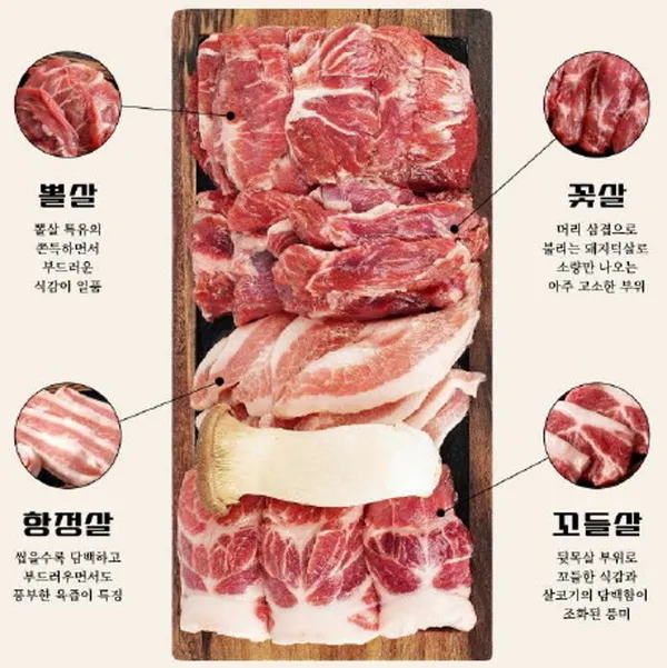 빽돈 중구 을지로 사진 3