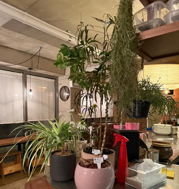 오시오 삼덕 사진 3