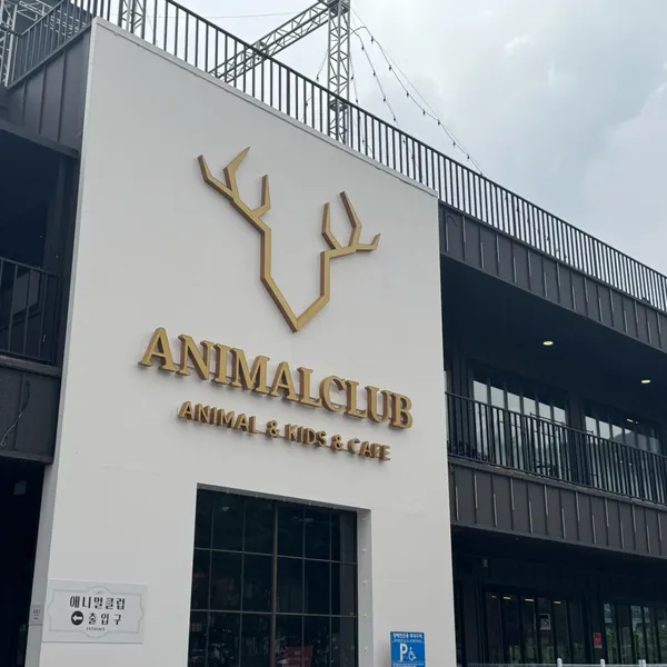 Animal Club Suji, photo 2