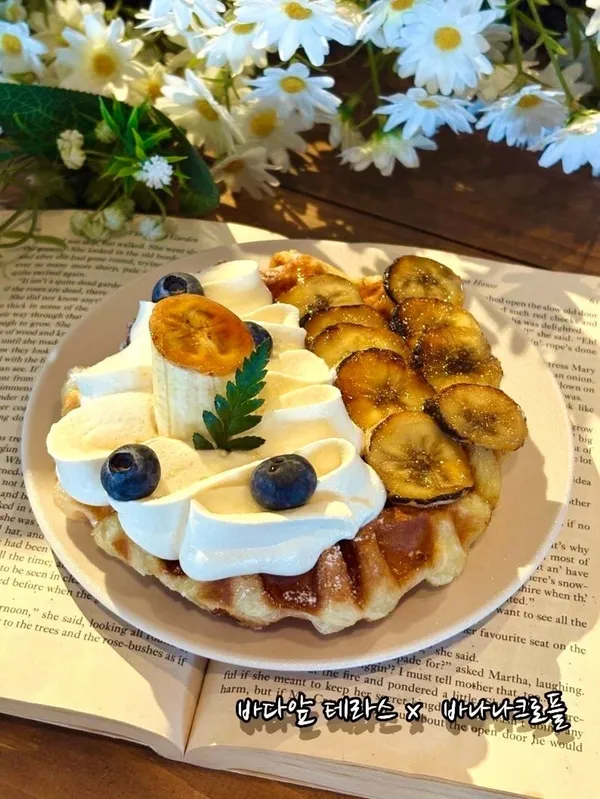 바다앞 농장 사진 4