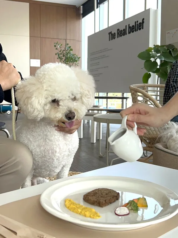 하림펫푸드 사진 2
