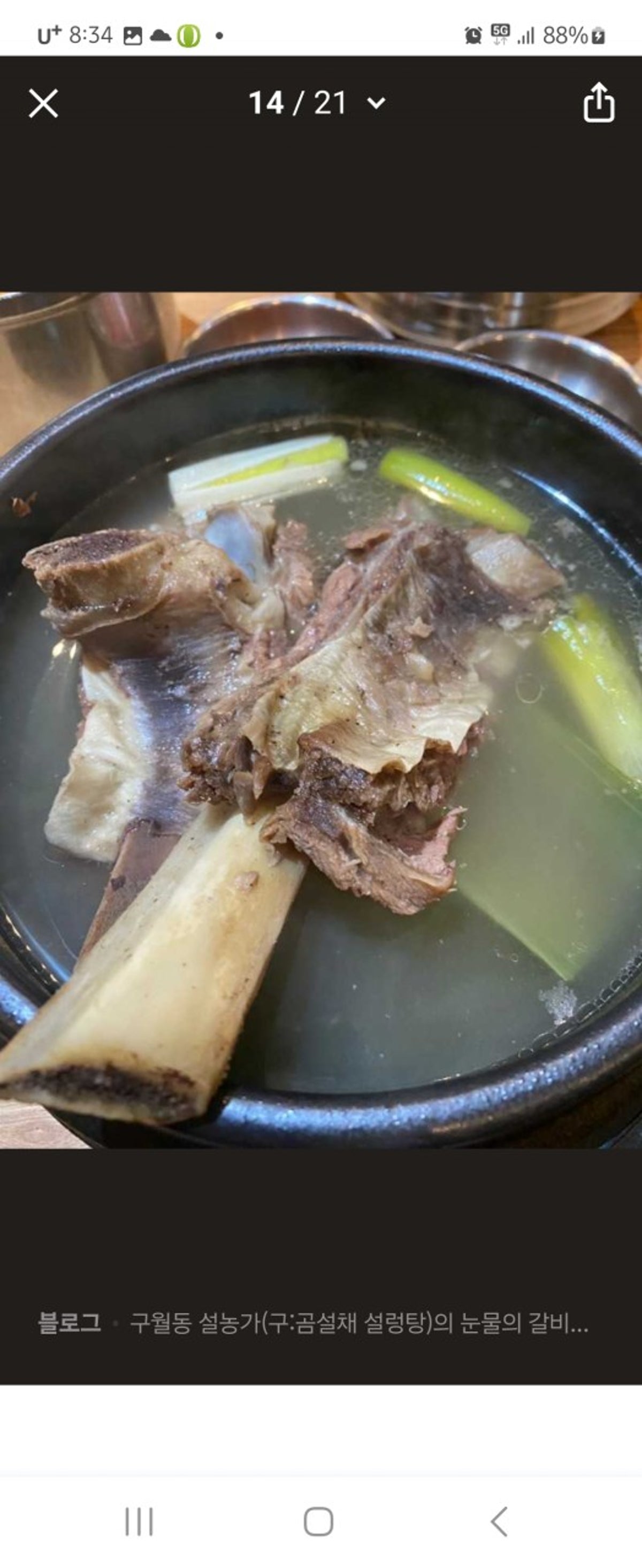 설농가 사진 5
